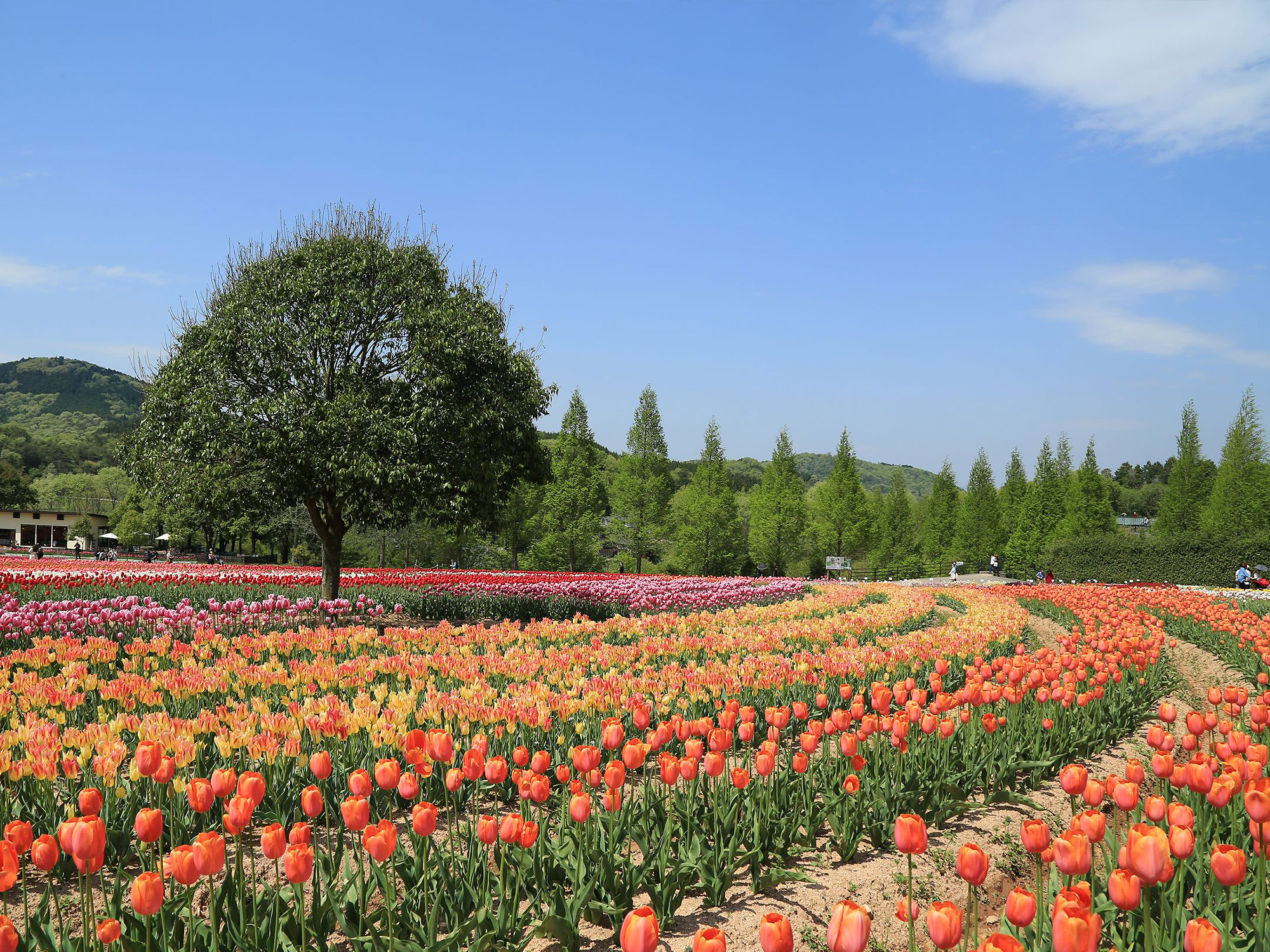 3e88759e5abf03e2be36f8377760a0b7