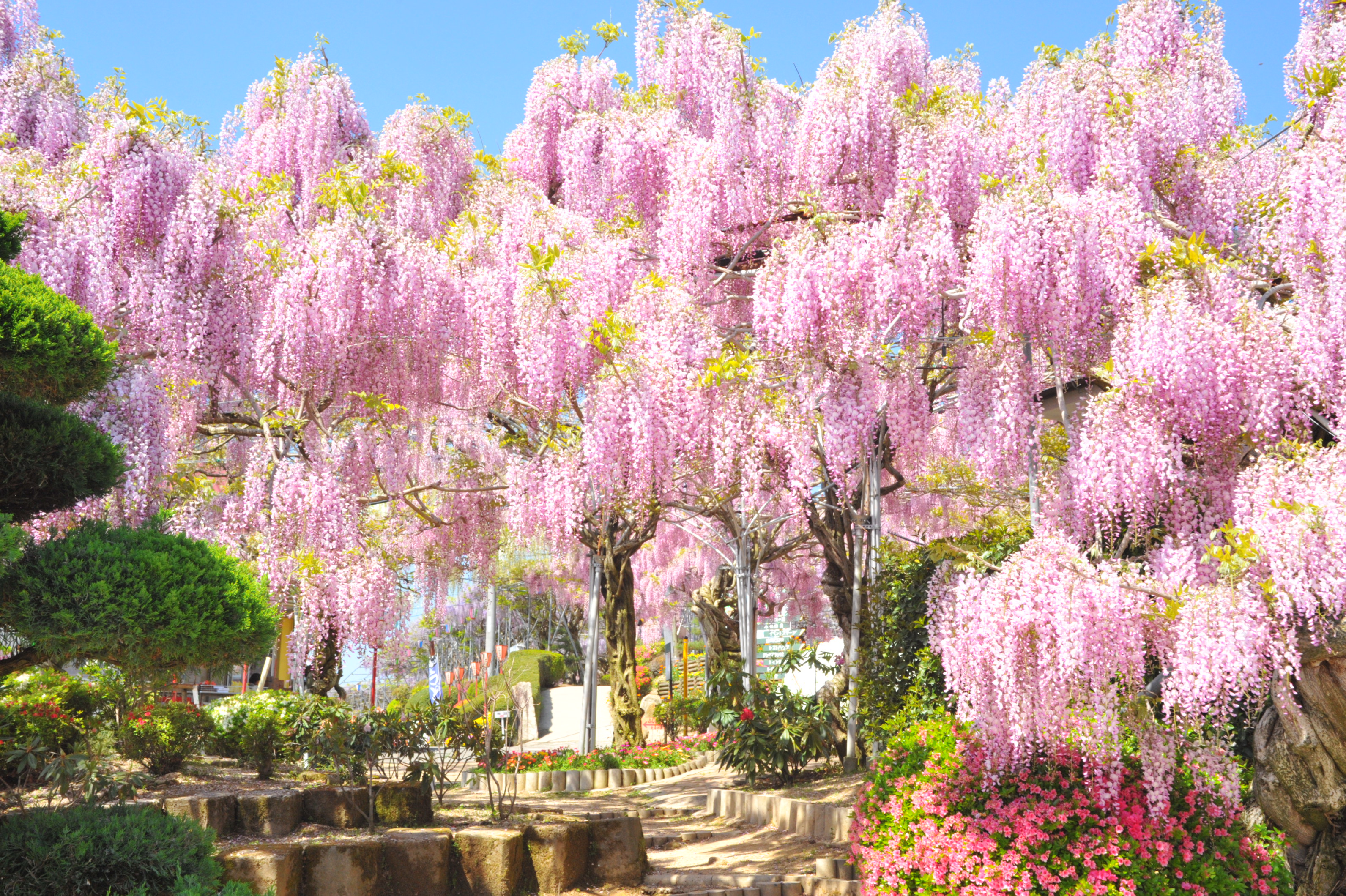 2e7fedd0801e0d07b4a2f27d49eea774