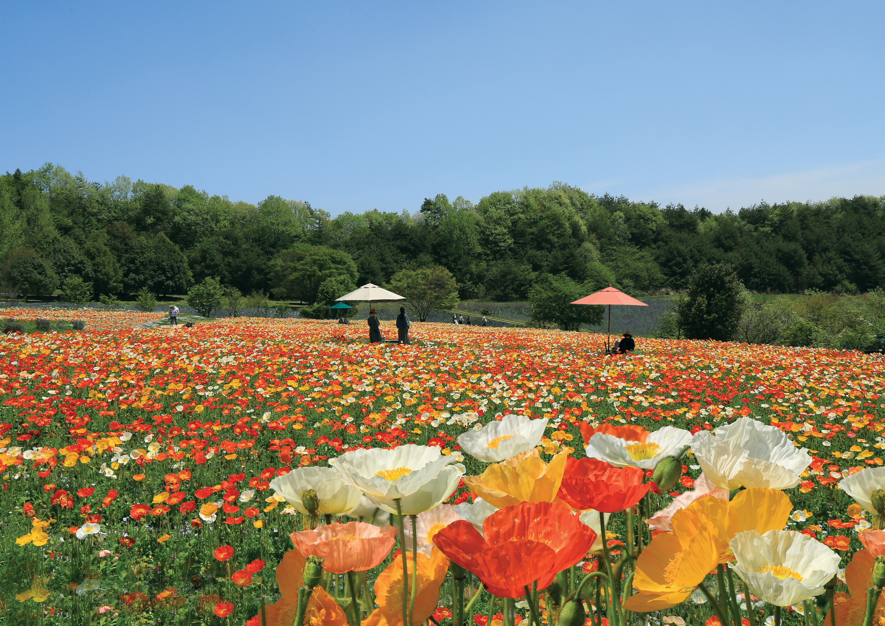 57e30a64fdfdb5da9d8d7eaf46f6ef19