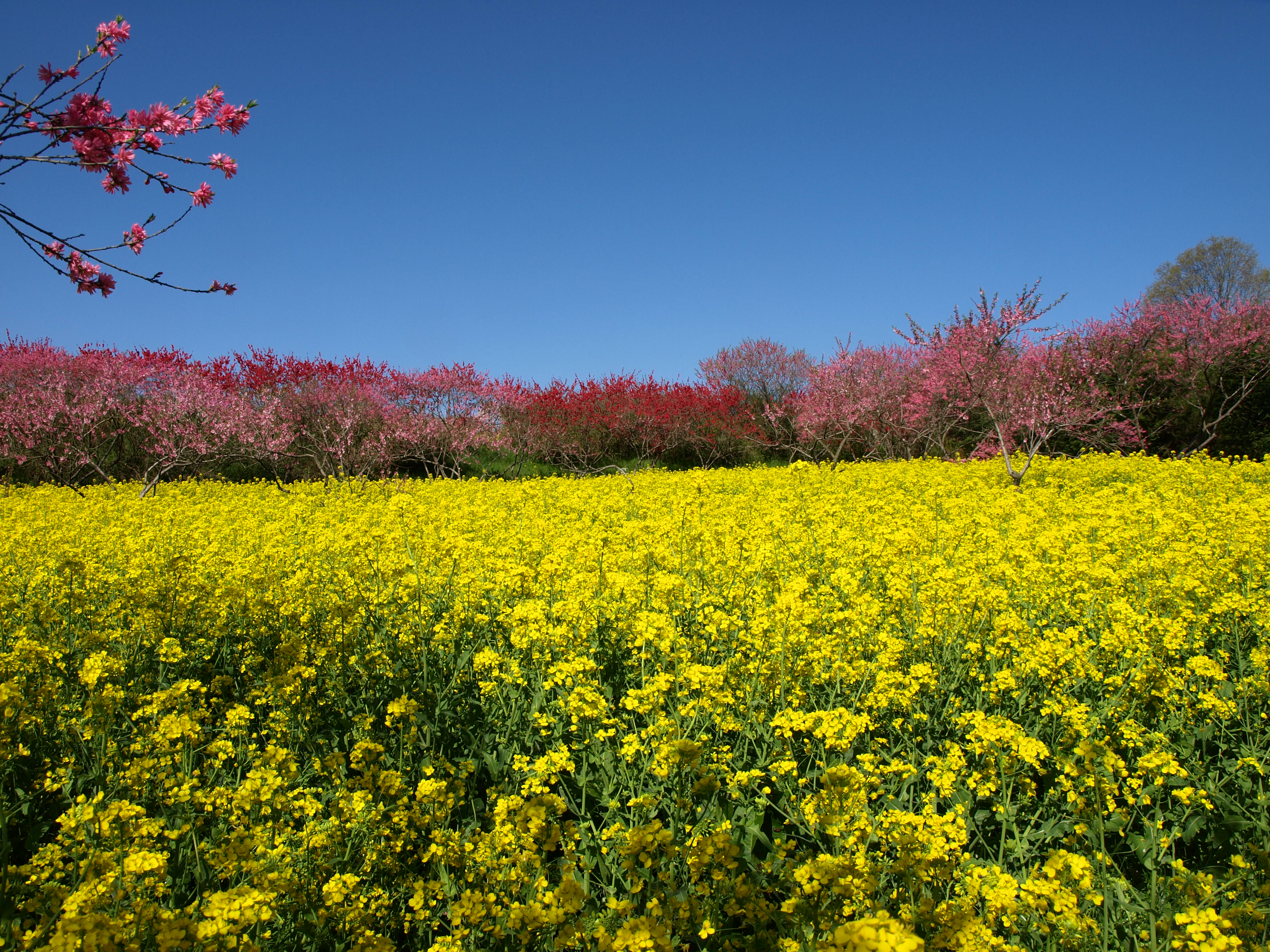 a32dbc20e7c5c8cf10ad132877e0fbe5