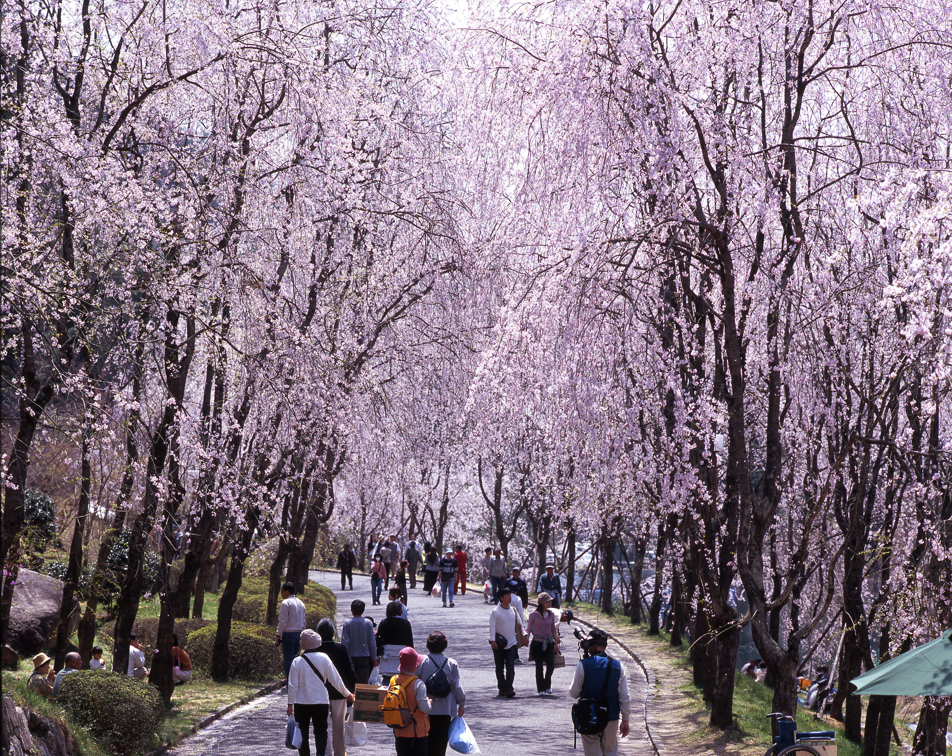 e2167091cbac3f7ea0fc7f6b70f4bfaf