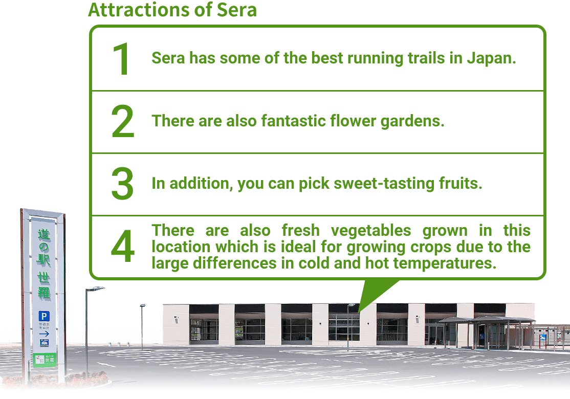 Attractions of Sera