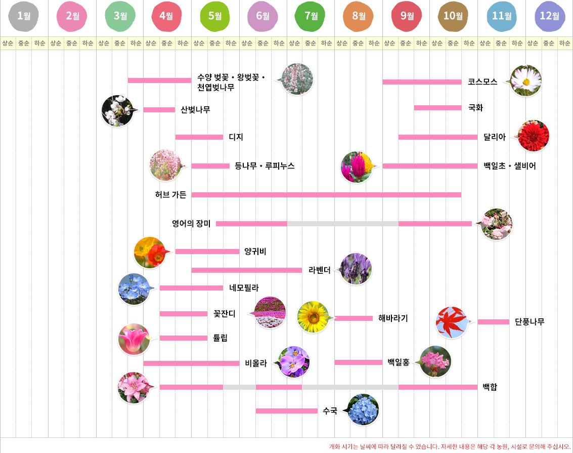 연간 개화 시기 캘린더